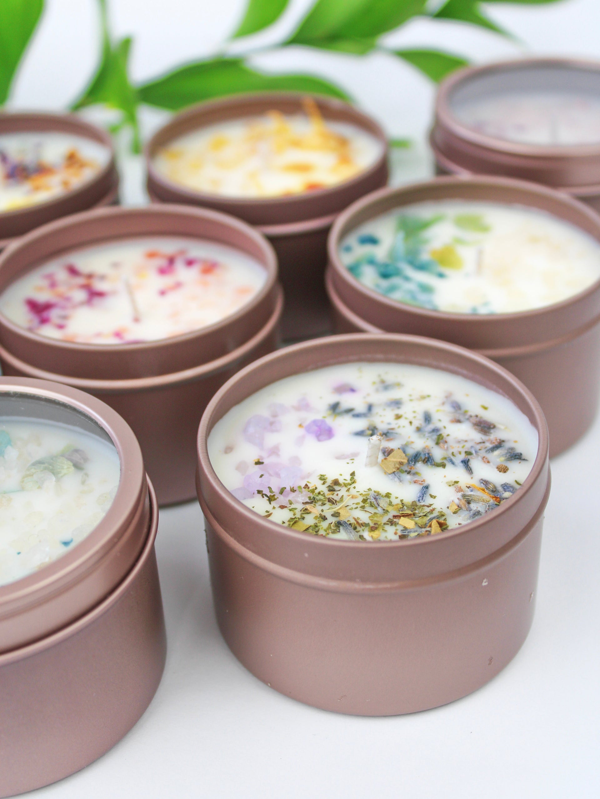 Unlabeled 4 oz Botanical Soy Wax Candles - Party Favors